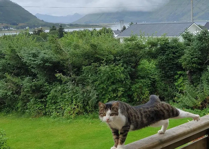 By Fjords And Mountains, Pictures Coming *