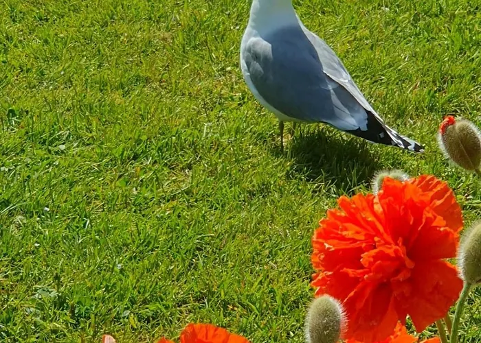 Appartement By Fjords And Mountains, Pictures Coming Sydalen