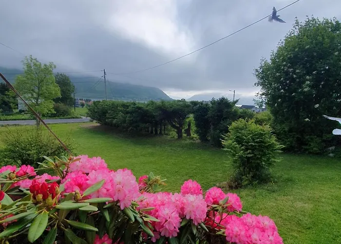 By Fjords And Mountains, Pictures Coming *