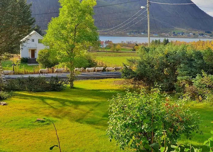 By Fjords And Mountains, Pictures Coming Appartement Sydalen
